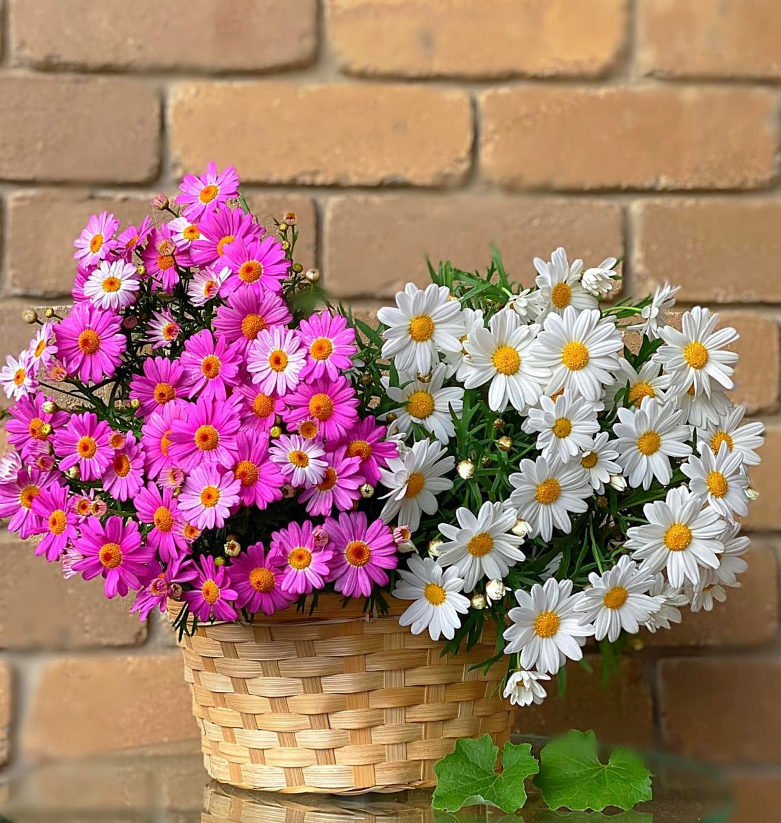 Tử vi ngày 25/4/2022 của 12 cung hoàng đạo